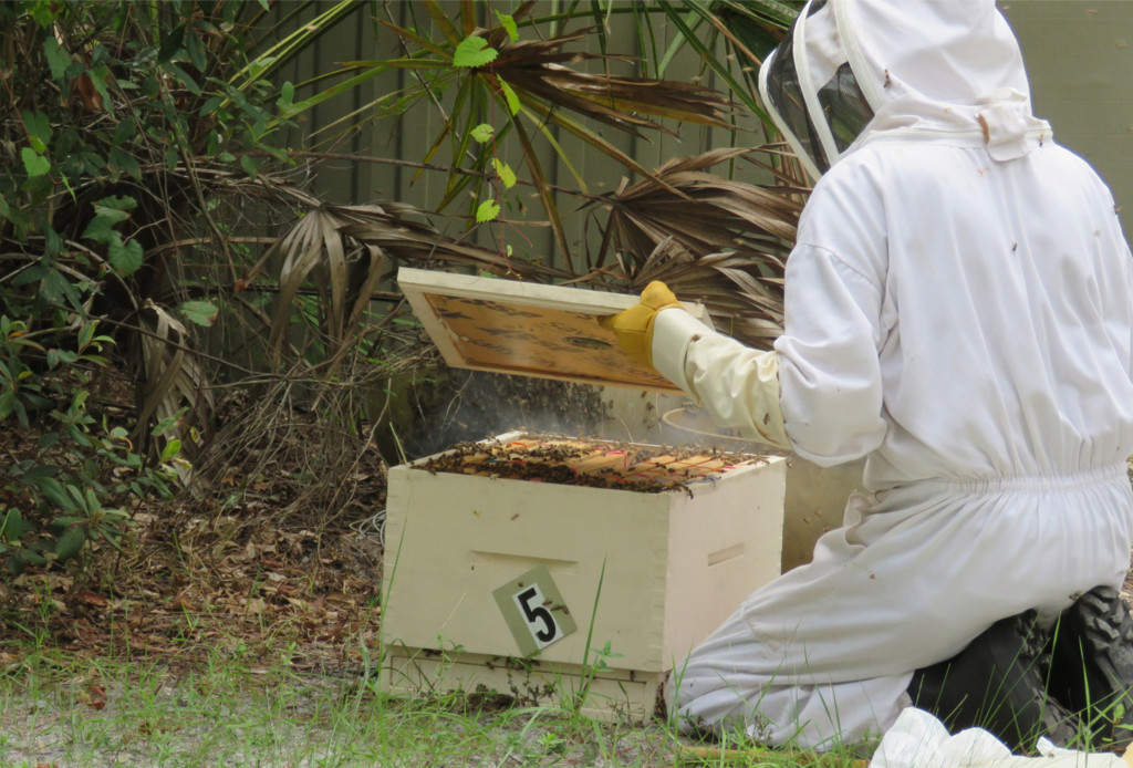 Closing up and getting the hive ready to transport to its new home