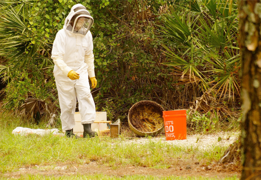First step is to tip the flower pot over and access the situation