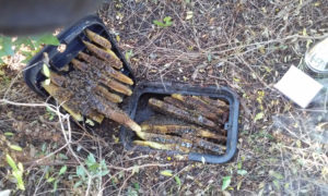 bee_removal_from_water_meter_11_11_2016_a