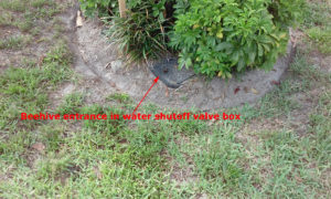 bee_removal_from_water_valve2