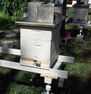 bees_in_trailer_wall_c_6_4_2016