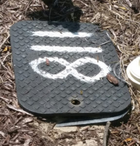 bees_in_water_meter_5_31_2016