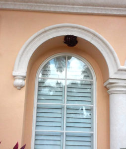 beshive_removed_from_window_alcove