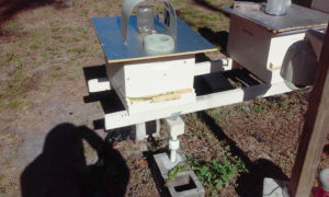 flower_pot_relocated_to_apiary_1