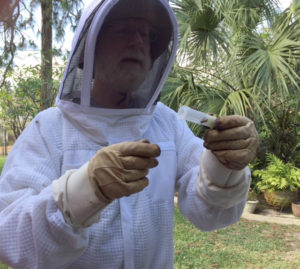 queen_from_flower_pot_4